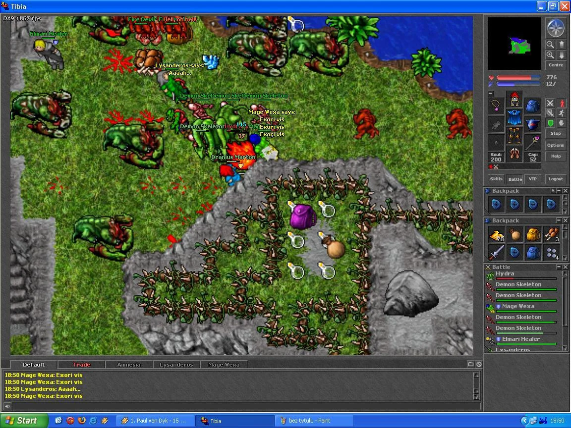 tibia